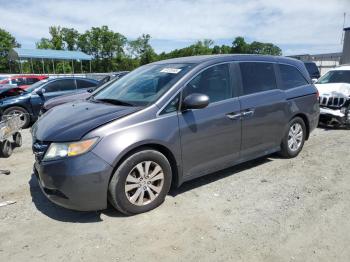  Salvage Honda Odyssey