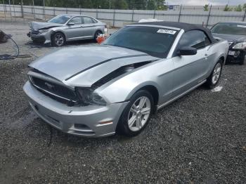  Salvage Ford Mustang