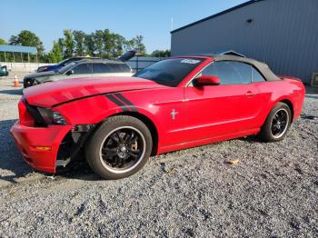  Salvage Ford Mustang