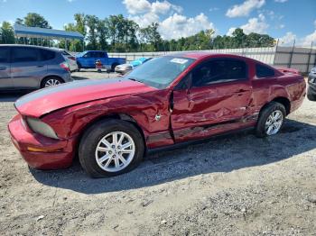  Salvage Ford Mustang