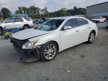  Salvage Nissan Maxima