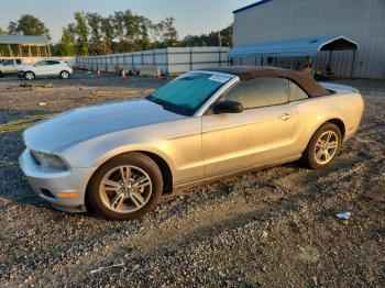 Salvage Ford Mustang
