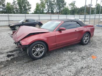  Salvage Ford Mustang