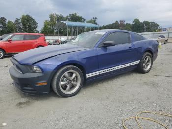  Salvage Ford Mustang