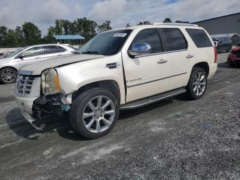  Salvage Cadillac Escalade