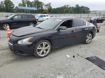  Salvage Nissan Maxima