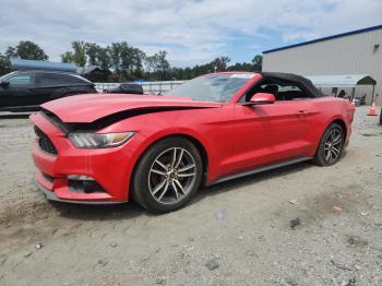  Salvage Ford Mustang