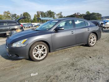  Salvage Nissan Maxima