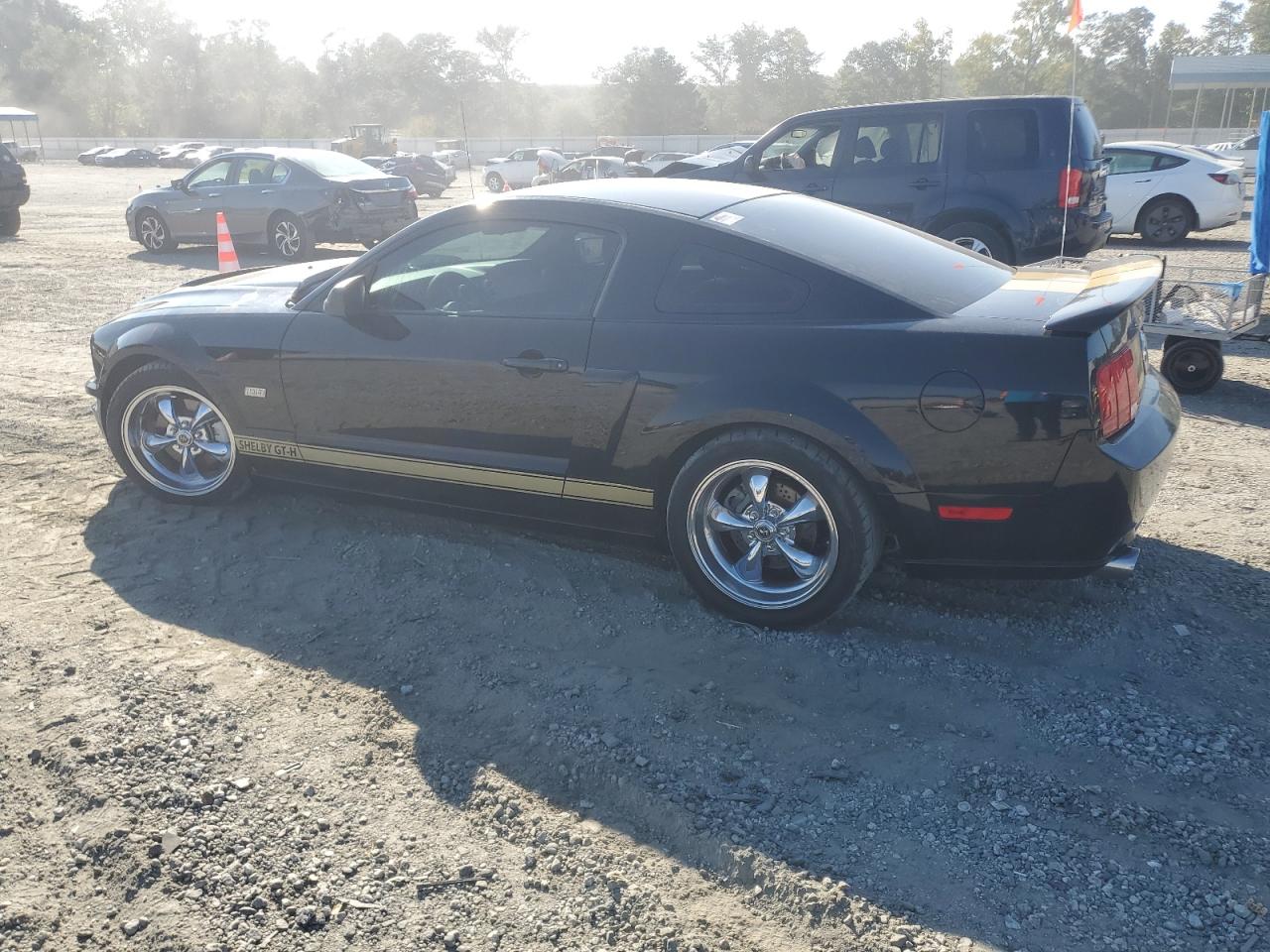 Ford Mustang Gt Image 6