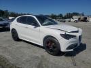 Alfa Romeo Stelvio Tr Tributo Italiano Image 3