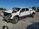 Ford F-250 Super Duty Image 1