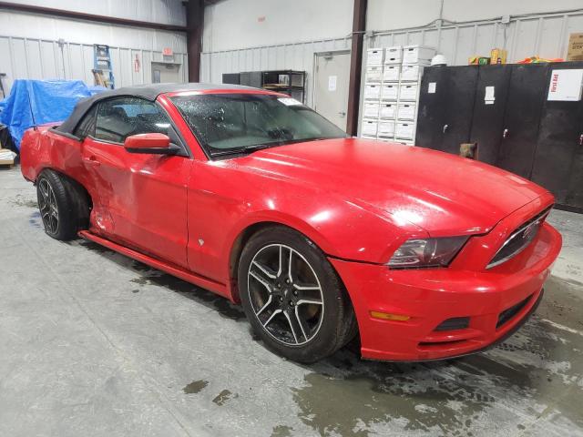 Ford Mustang Image 8