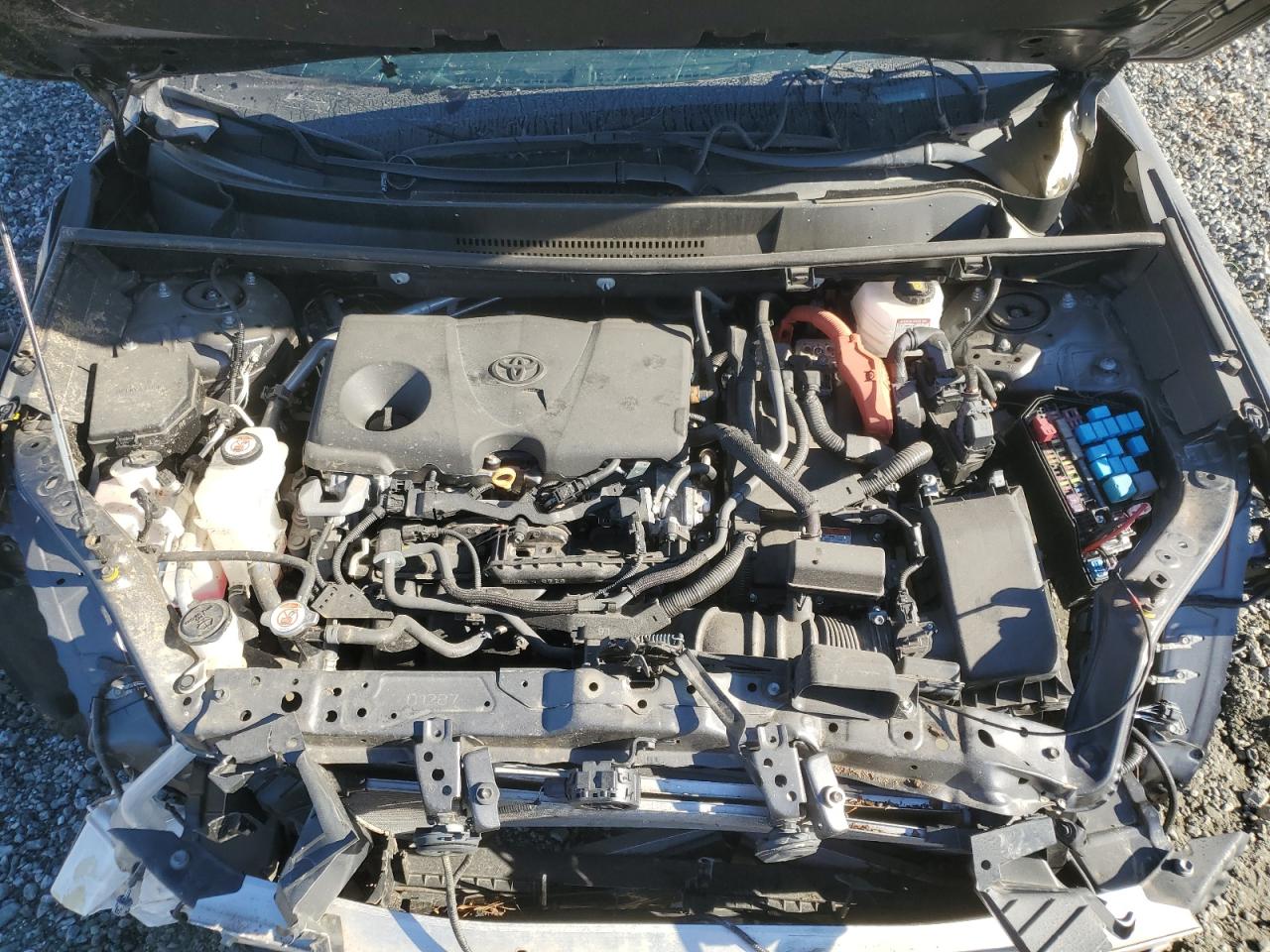 Toyota RAV4 Xse Image 11