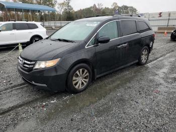  Salvage Honda Odyssey