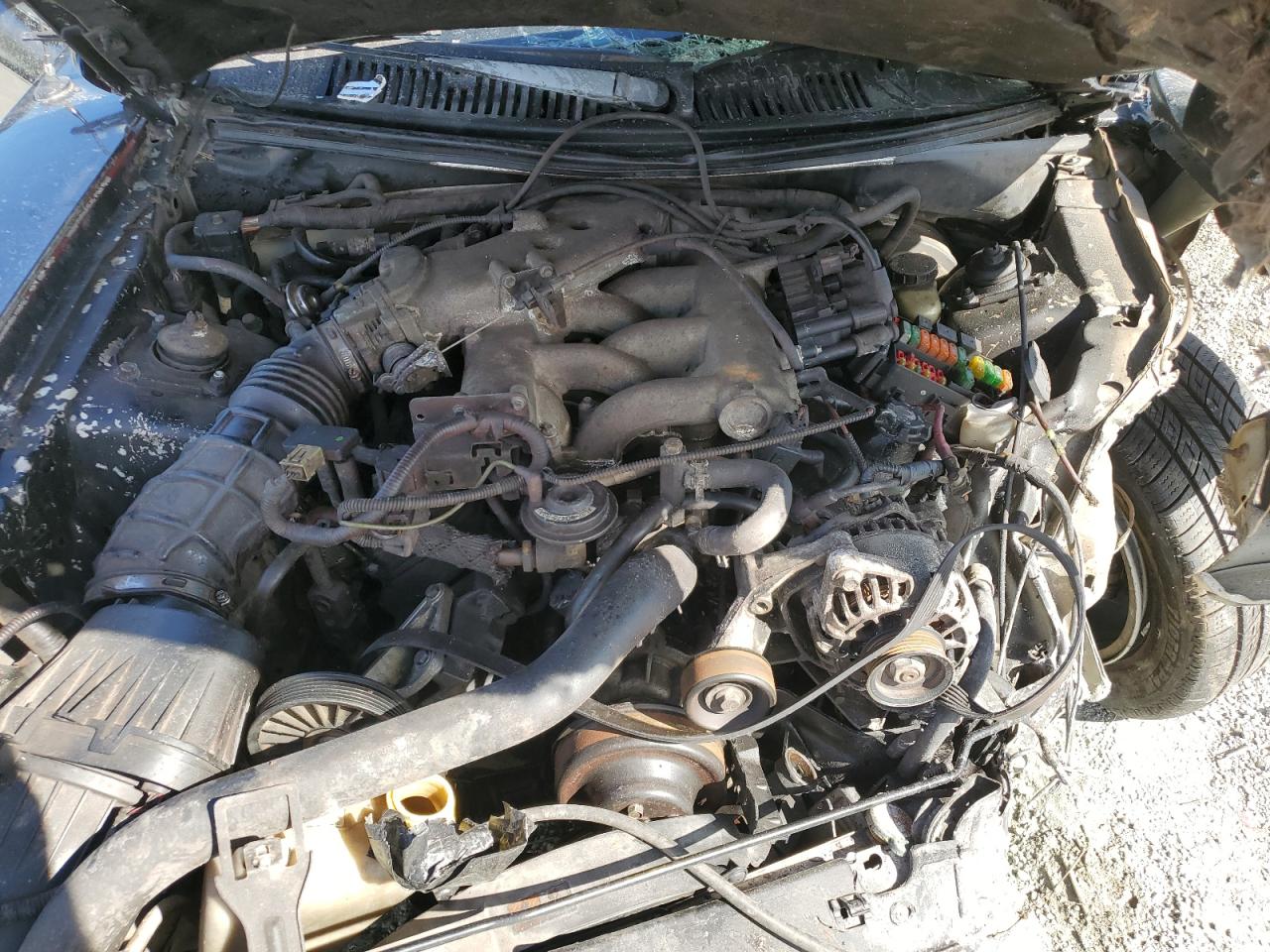 Ford Mustang Image 10