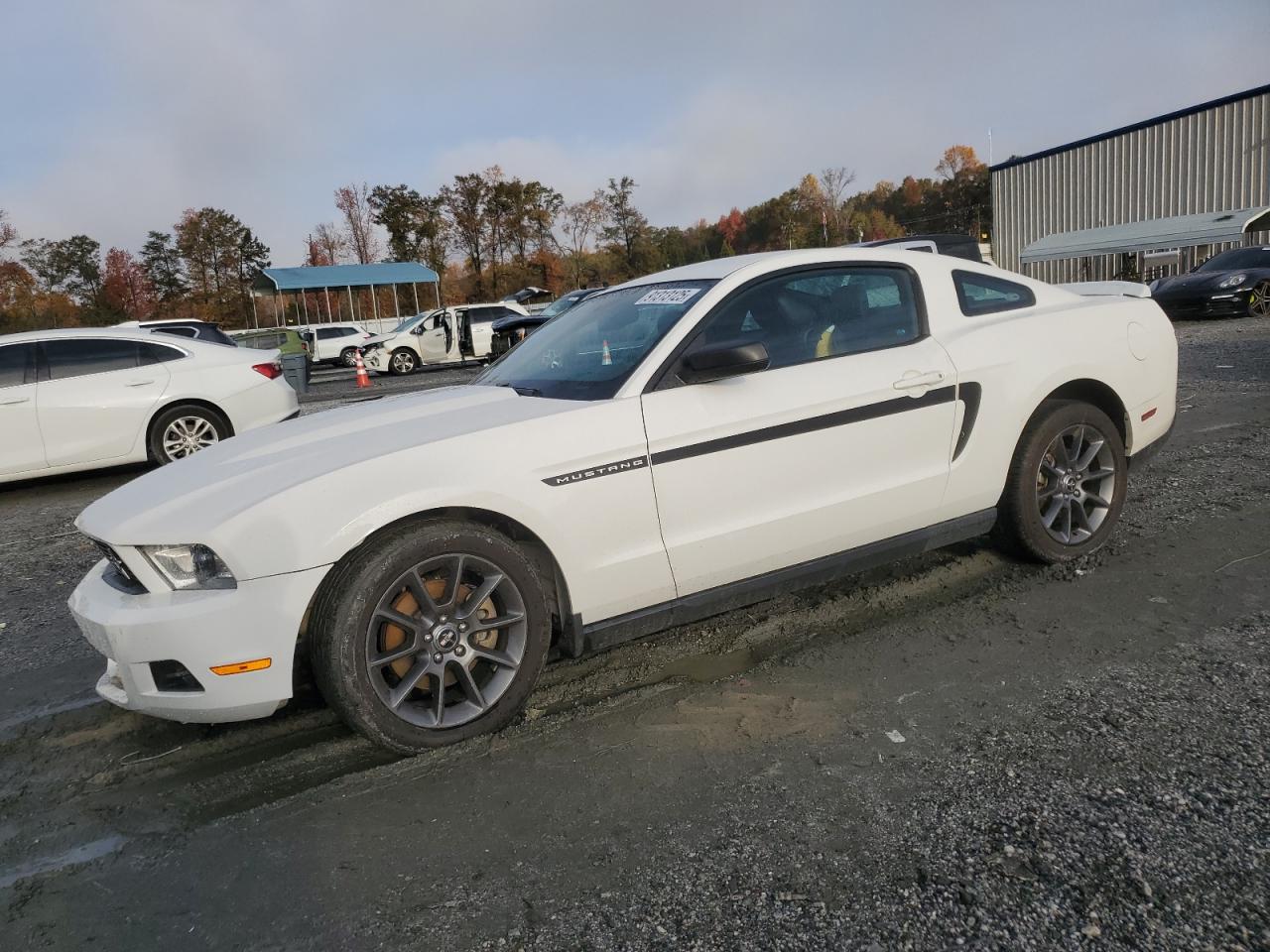 Ford Mustang Image 1
