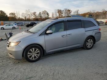  Salvage Honda Odyssey