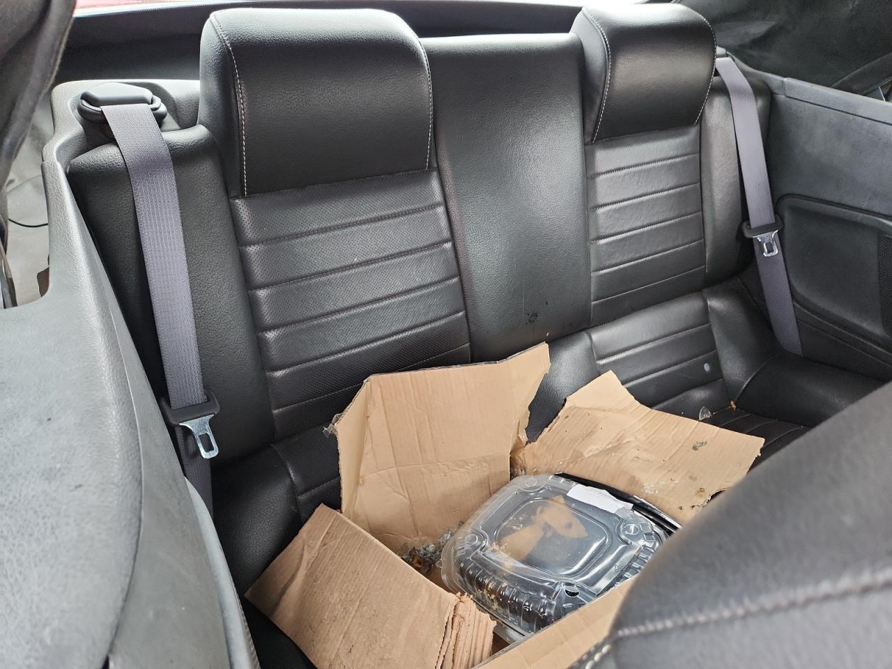 Ford Mustang Gt Image 5