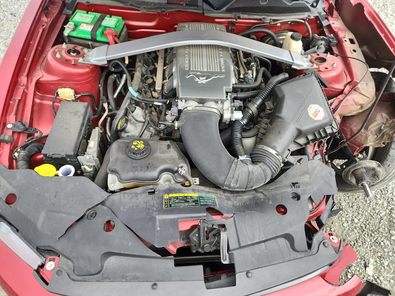 Ford Mustang Gt Image 8