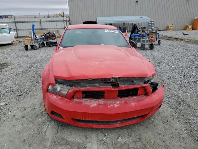 Ford Mustang Image 4