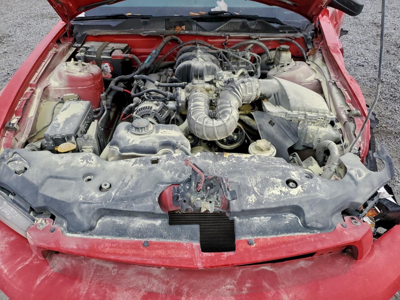 Ford Mustang Image 11