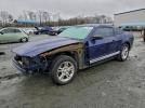 Ford Mustang Image 1