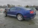 Ford Mustang Image 2