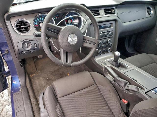 Ford Mustang Image 11