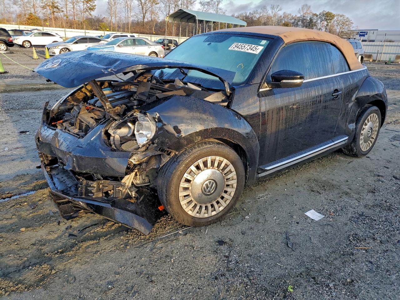 Volkswagen Beetle Image 1