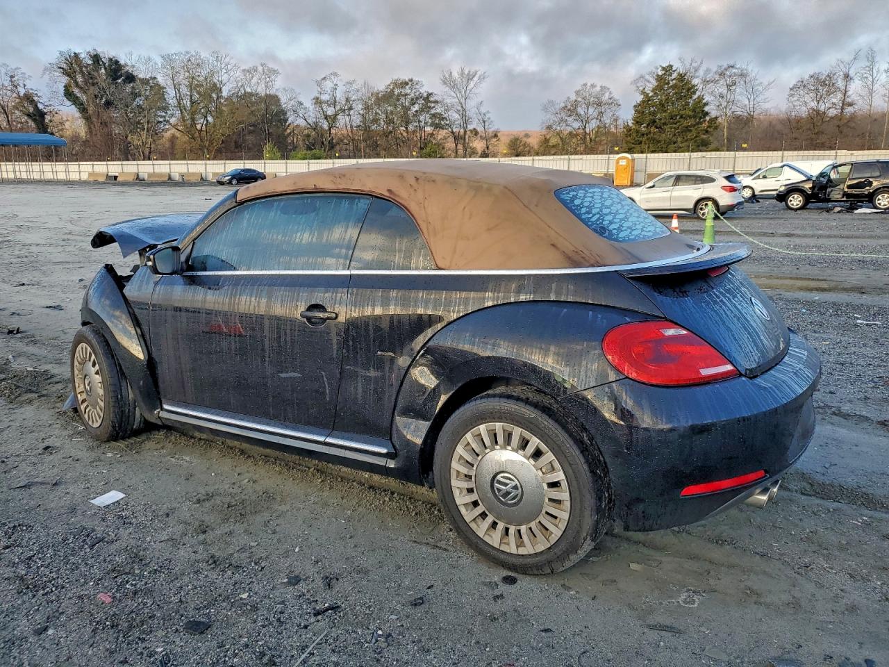 Volkswagen Beetle Image 3