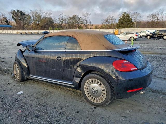 Volkswagen Beetle Image 3