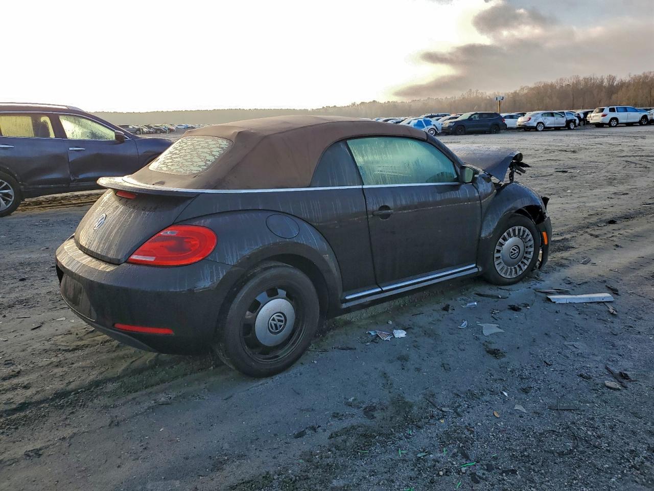 Volkswagen Beetle Image 4