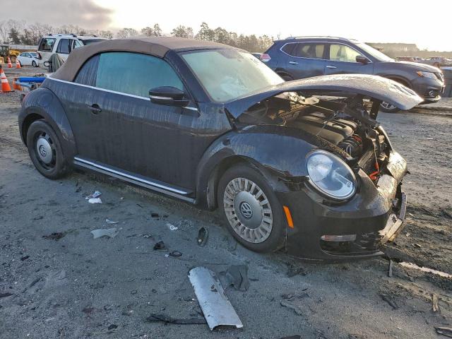 Volkswagen Beetle Image 2