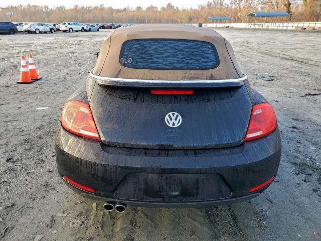 Volkswagen Beetle Image 10