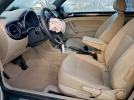 Volkswagen Beetle Image 12