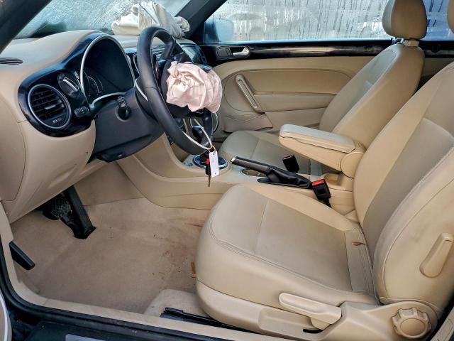 Volkswagen Beetle Image 12