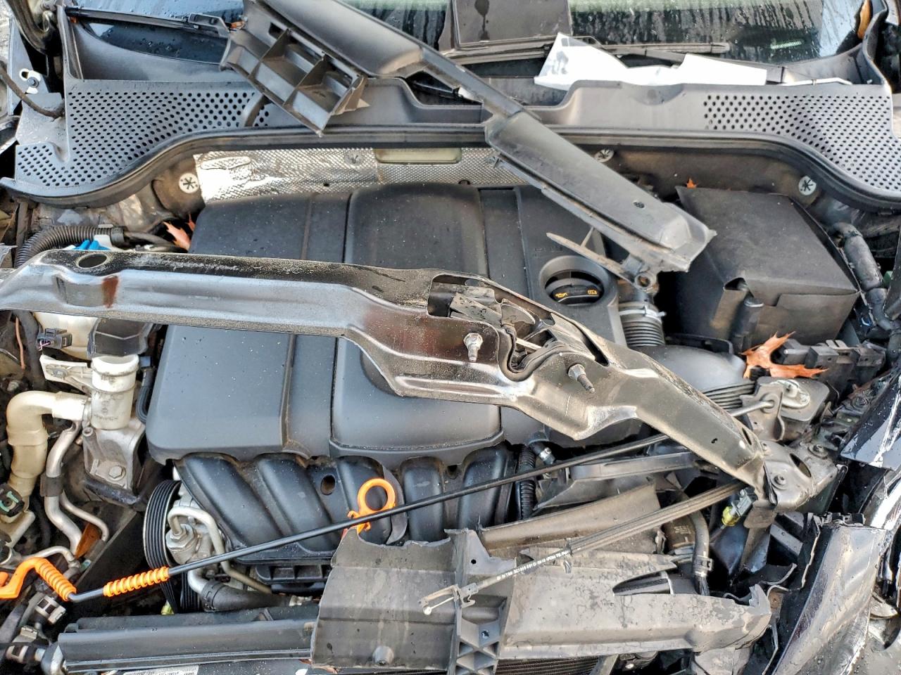 Volkswagen Beetle Image 9