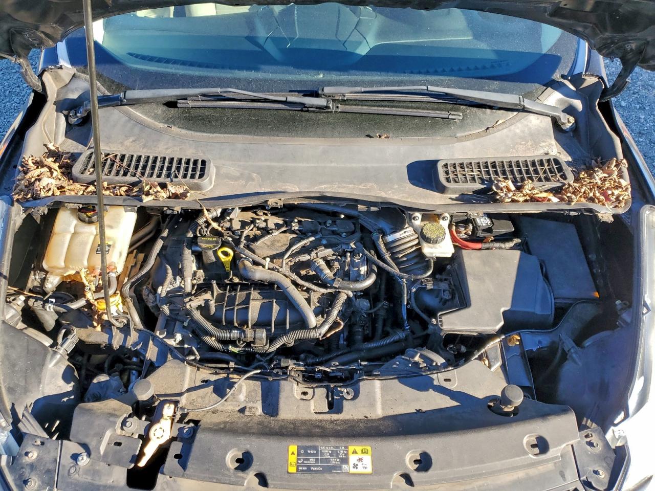 Ford Escape Se Image 13