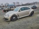 Volkswagen Beetle Image 1