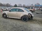 Volkswagen Beetle Image 3