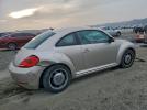 Volkswagen Beetle Image 8