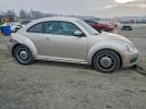 Volkswagen Beetle Image 2
