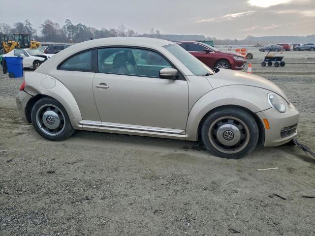 Volkswagen Beetle Image 2