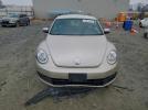 Volkswagen Beetle Image 6