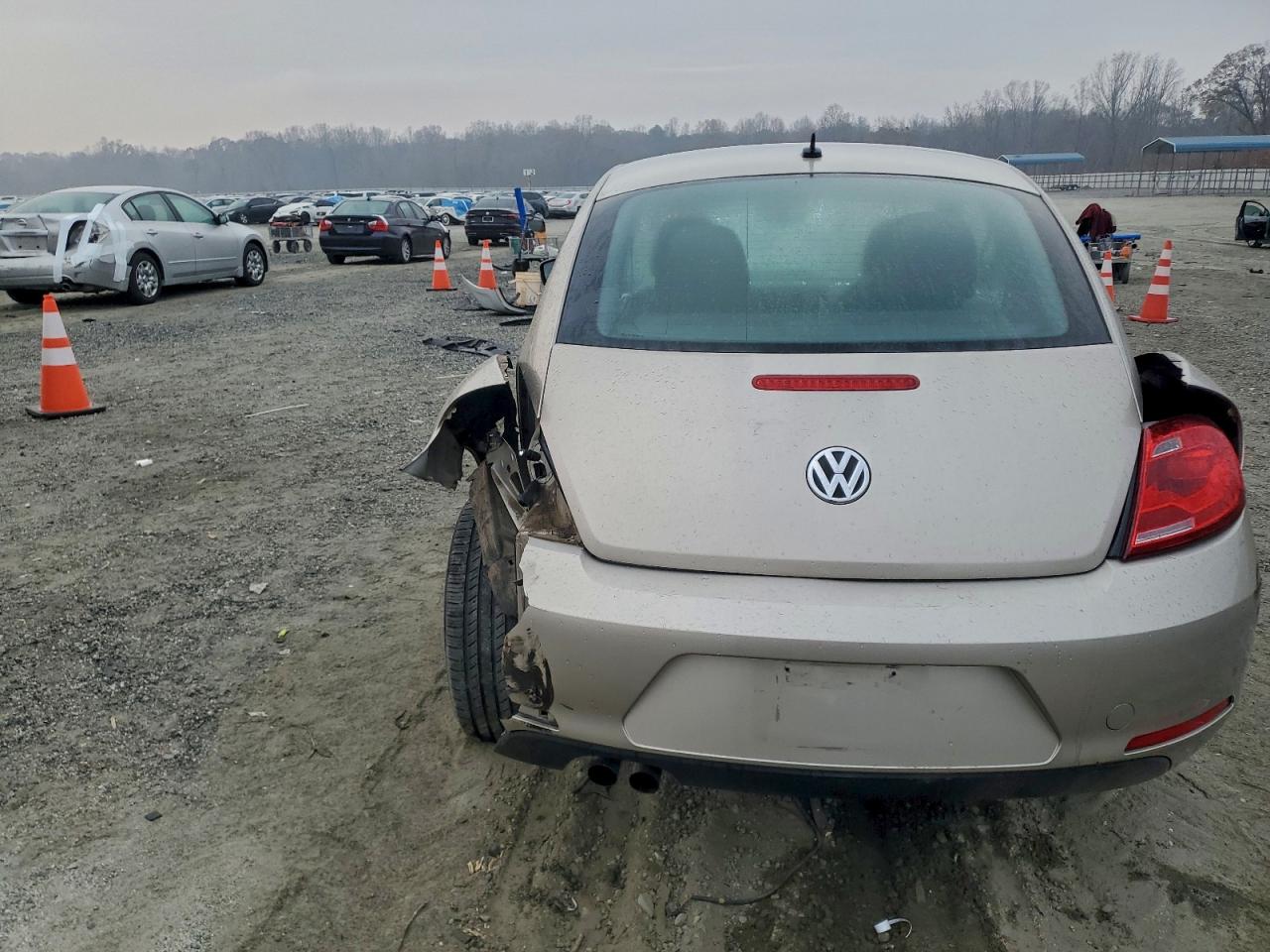 Volkswagen Beetle Image 12