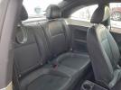 Volkswagen Beetle Image 10