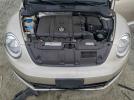 Volkswagen Beetle Image 11
