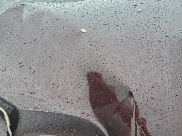 Kia Sorento Ex Image 10