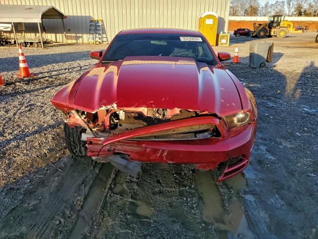 Ford Mustang Gt Image 6