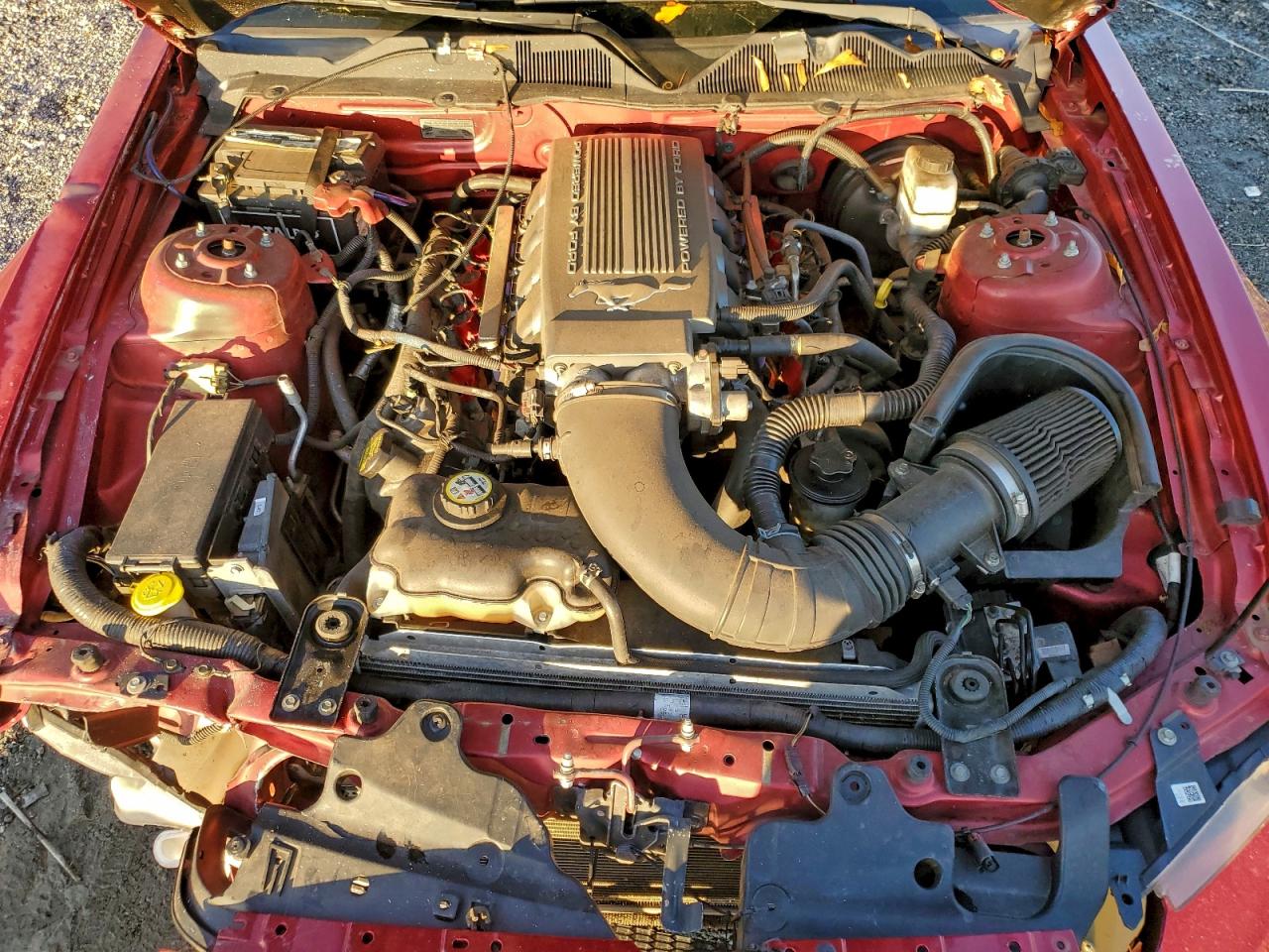 Ford Mustang Gt Image 9